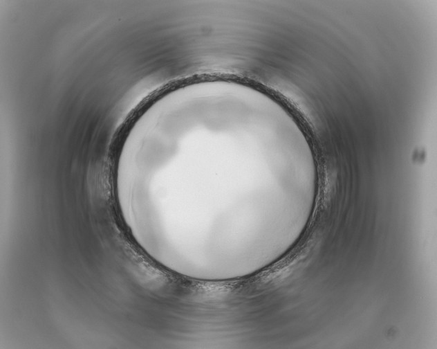 X0000091540878200709141453