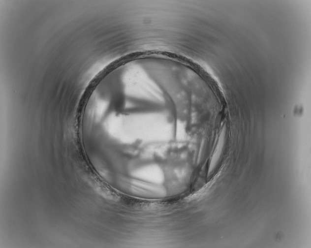 X0000091540879200709141453