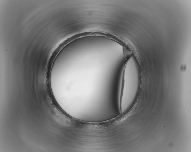 X0000091540880200709141453