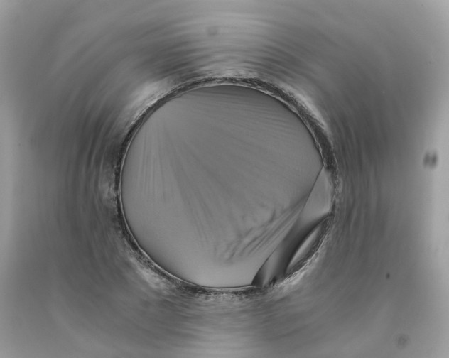 X0000091540881200709141453