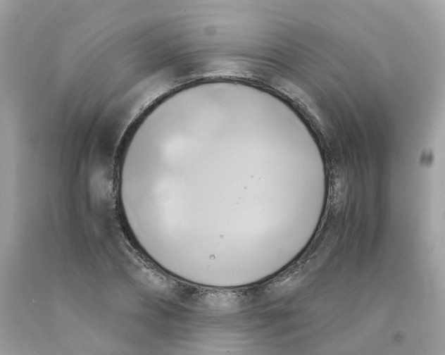 X0000091540882200709141453