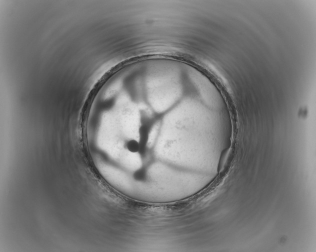 X0000091540883200709141453