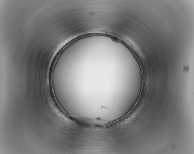 X0000091540884200709141453