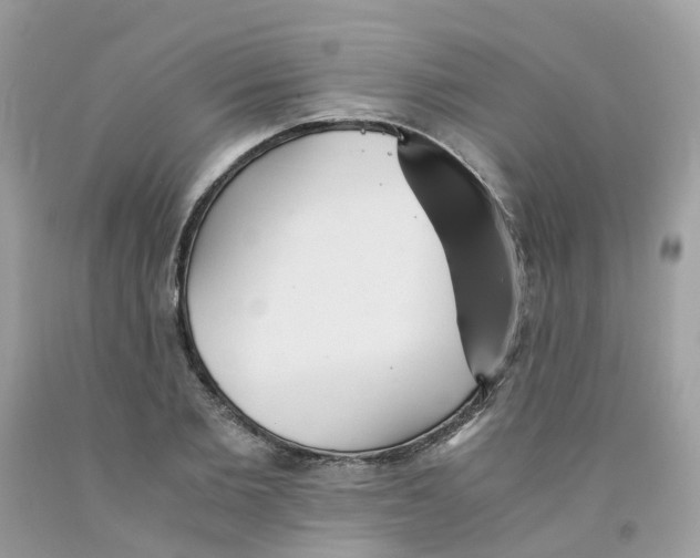 X0000091540885200709141453