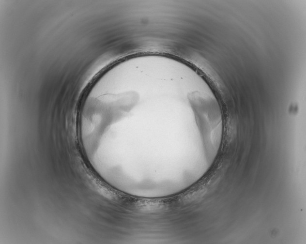 X0000091540886200709141453