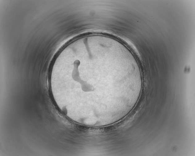 X0000091540887200709141453