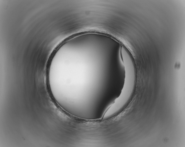 X0000091540888200709141453