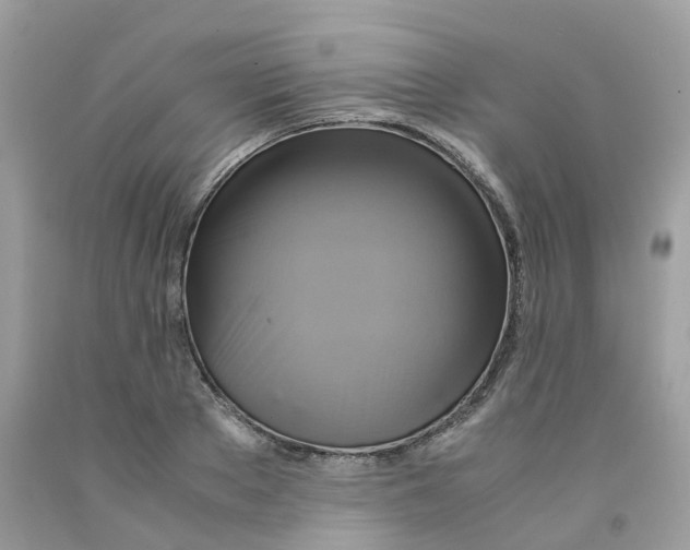 X0000091540889200709141453