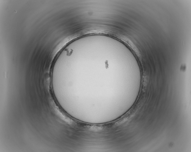 X0000091540890200709141453