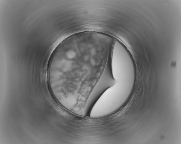 X0000091540891200709141453