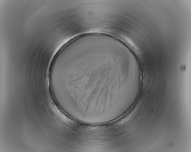 X0000091540892200709141453