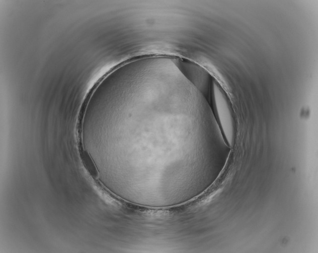 X0000091540893200709141453