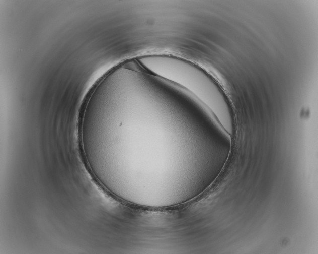 X0000091540894200709141453