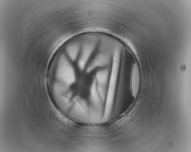 X0000091540895200709141453