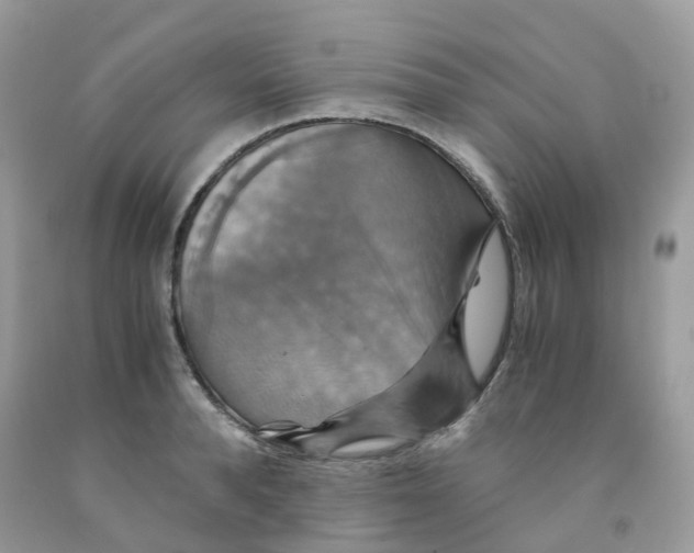 X0000091540896200709141453