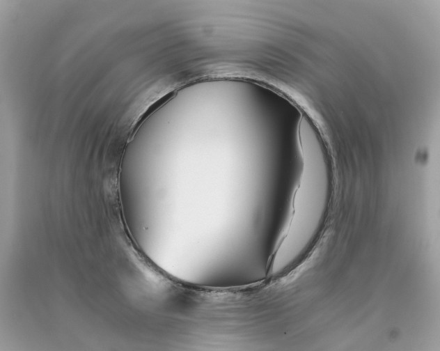 X0000091540897200709141453