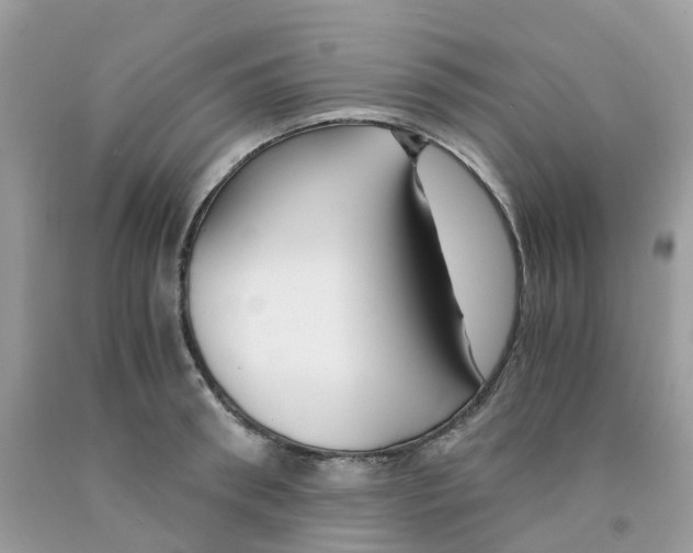 X0000091540898200709141453