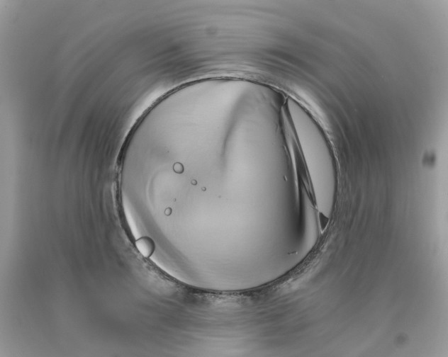 X0000091540899200709141453