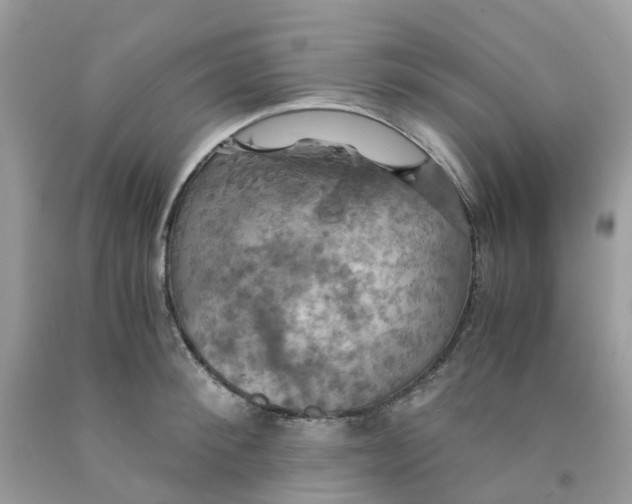 X0000091540900200709141453