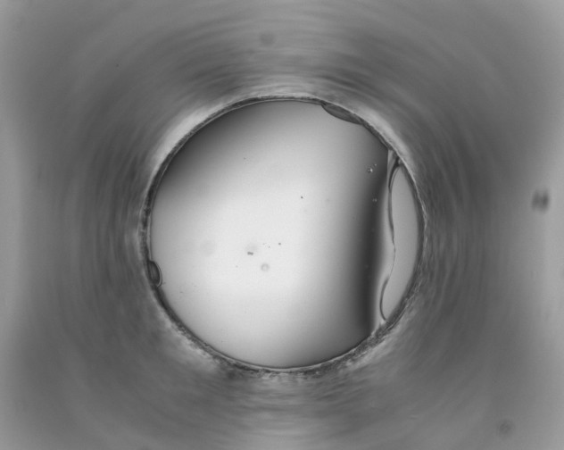 X0000091540901200709141453