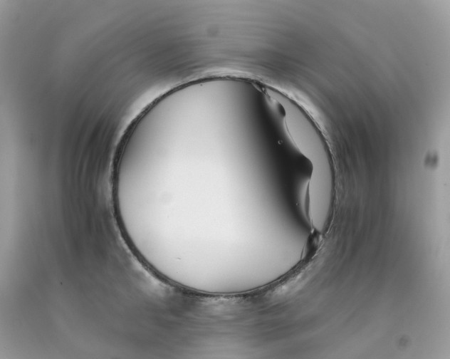 X0000091540902200709141453