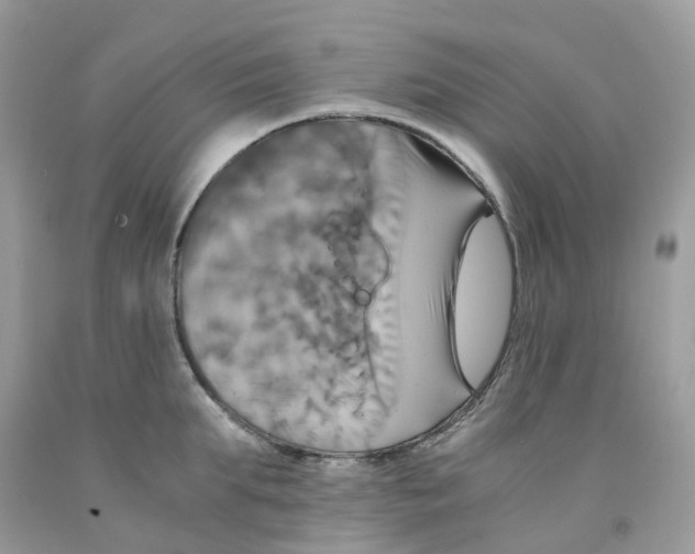 X0000091540903200709141453