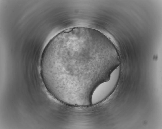 X0000091540904200709141453