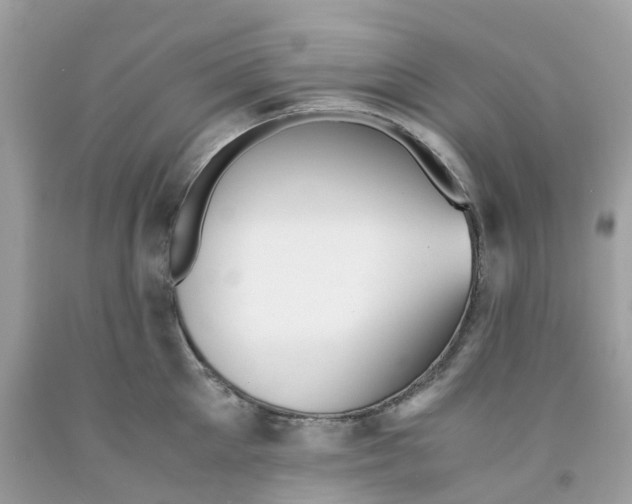 X0000091540905200709141453