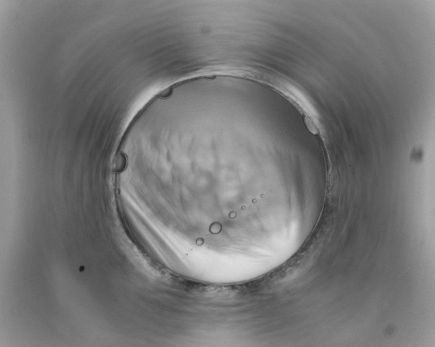 X0000091540907200709141453