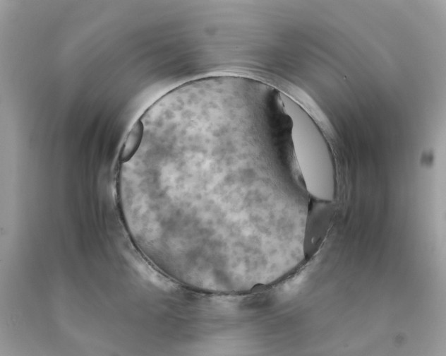 X0000091540908200709141453