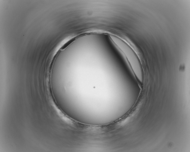 X0000091540909200709141453