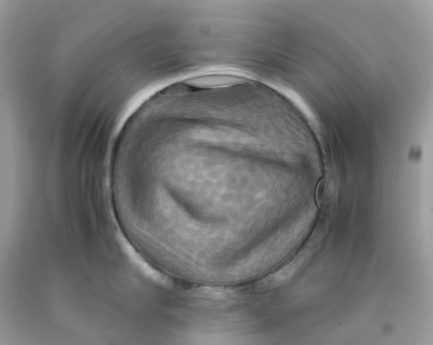 X0000091540910200709141453