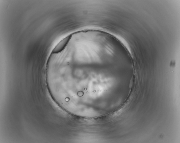 X0000091540911200709141453