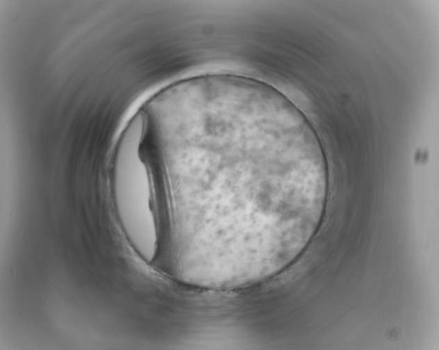 X0000091540912200709141453