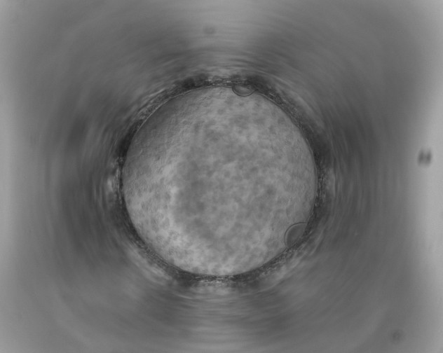 X0000091540914200709141452