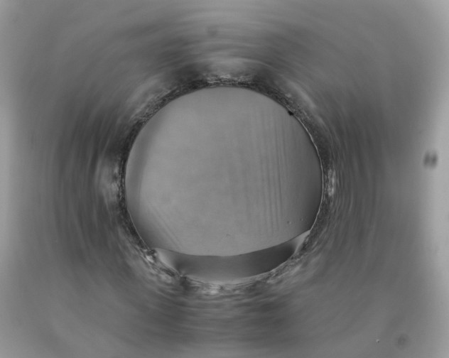 X0000091540915200709141452