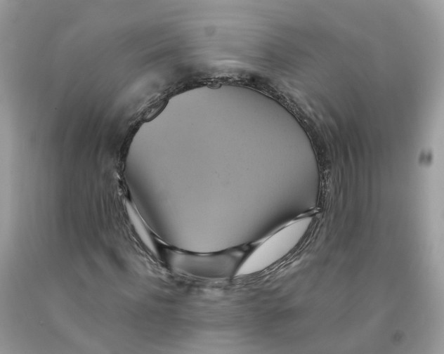 X0000091540916200709141452