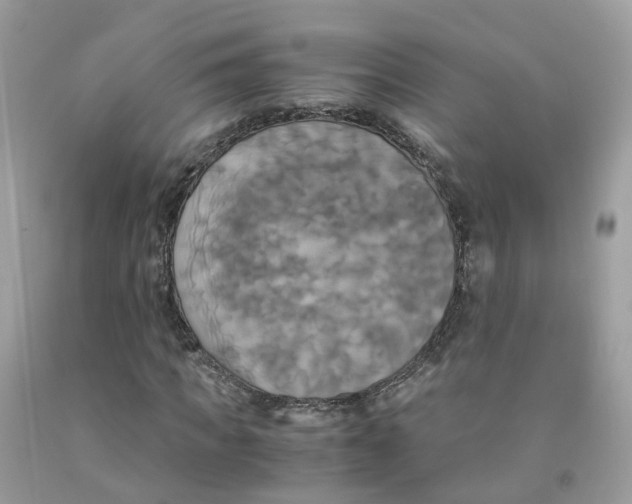 X0000091540917200709141453