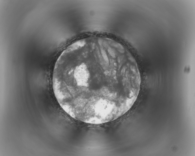 X0000091540918200709141453