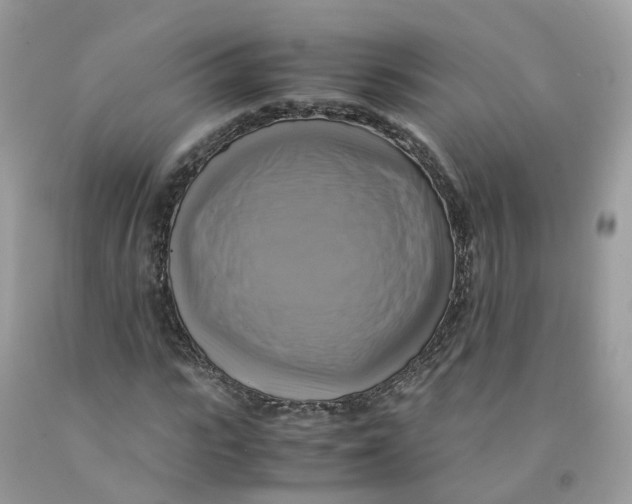 X0000091540919200709141453