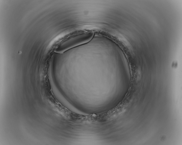 X0000091540920200709141453