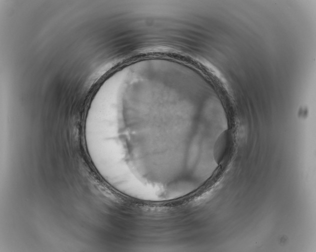 X0000091540921200709141453