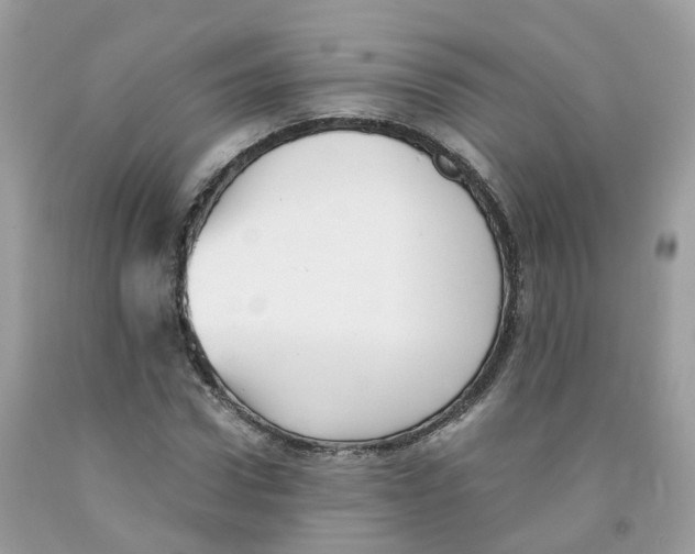 X0000091540922200709141453