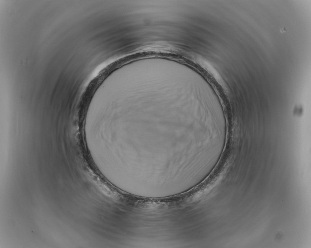 X0000091540923200709141453