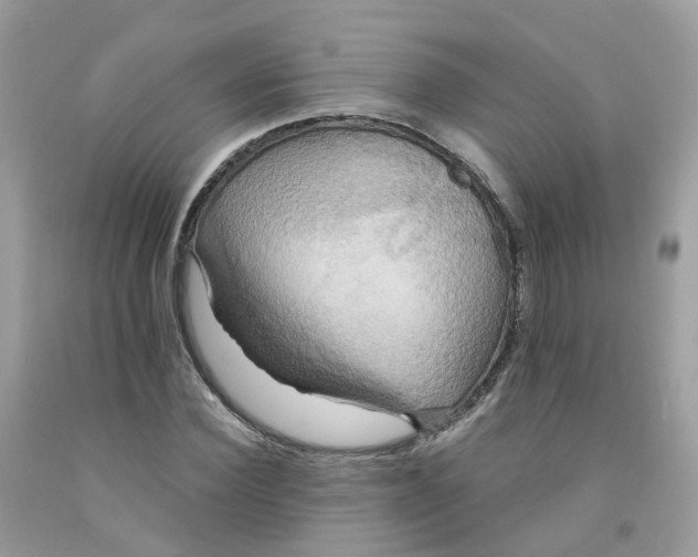 X0000091540924200709141453