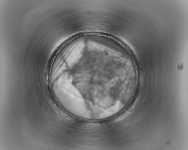 X0000091540925200709141453