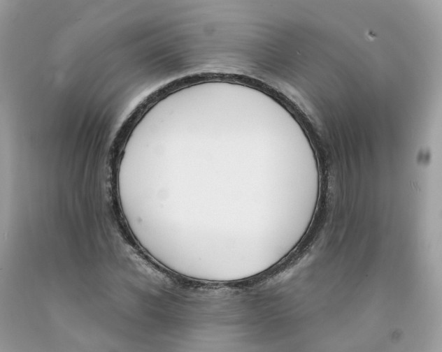 X0000091540926200709141453