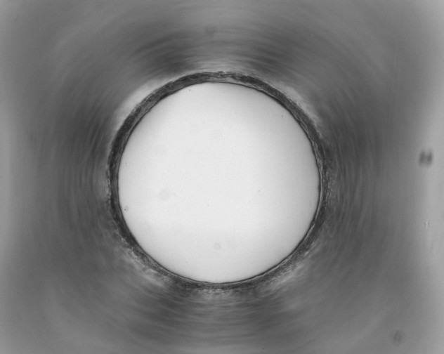 X0000091540927200709141453