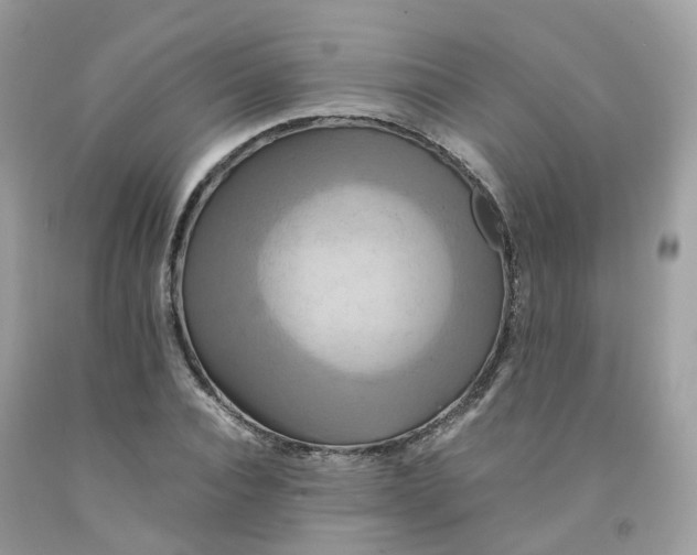 X0000091540928200709141453