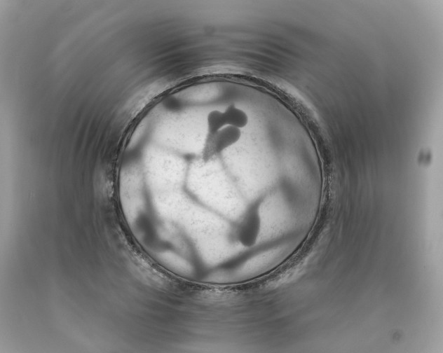 X0000091540929200709141453